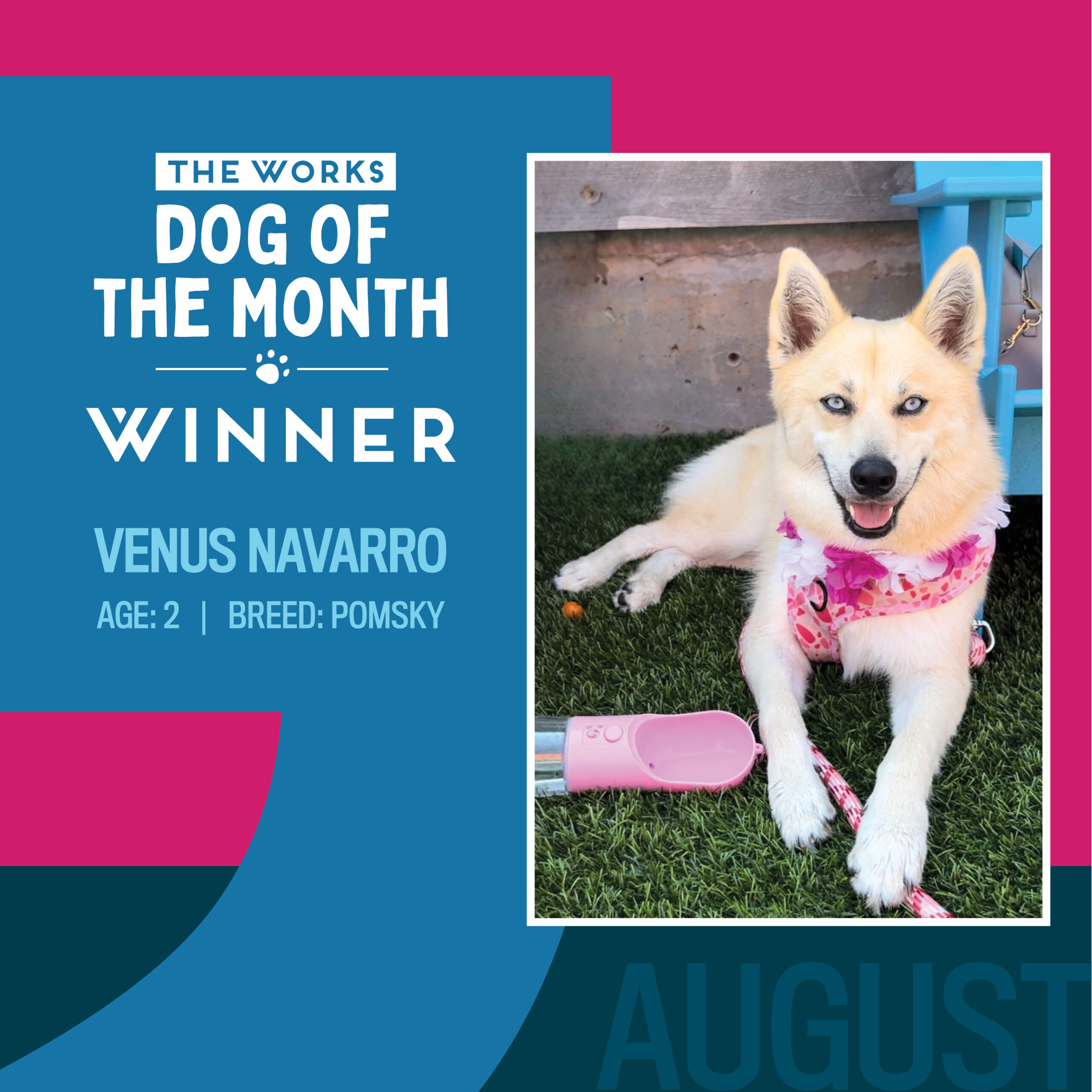 dog of the month winner