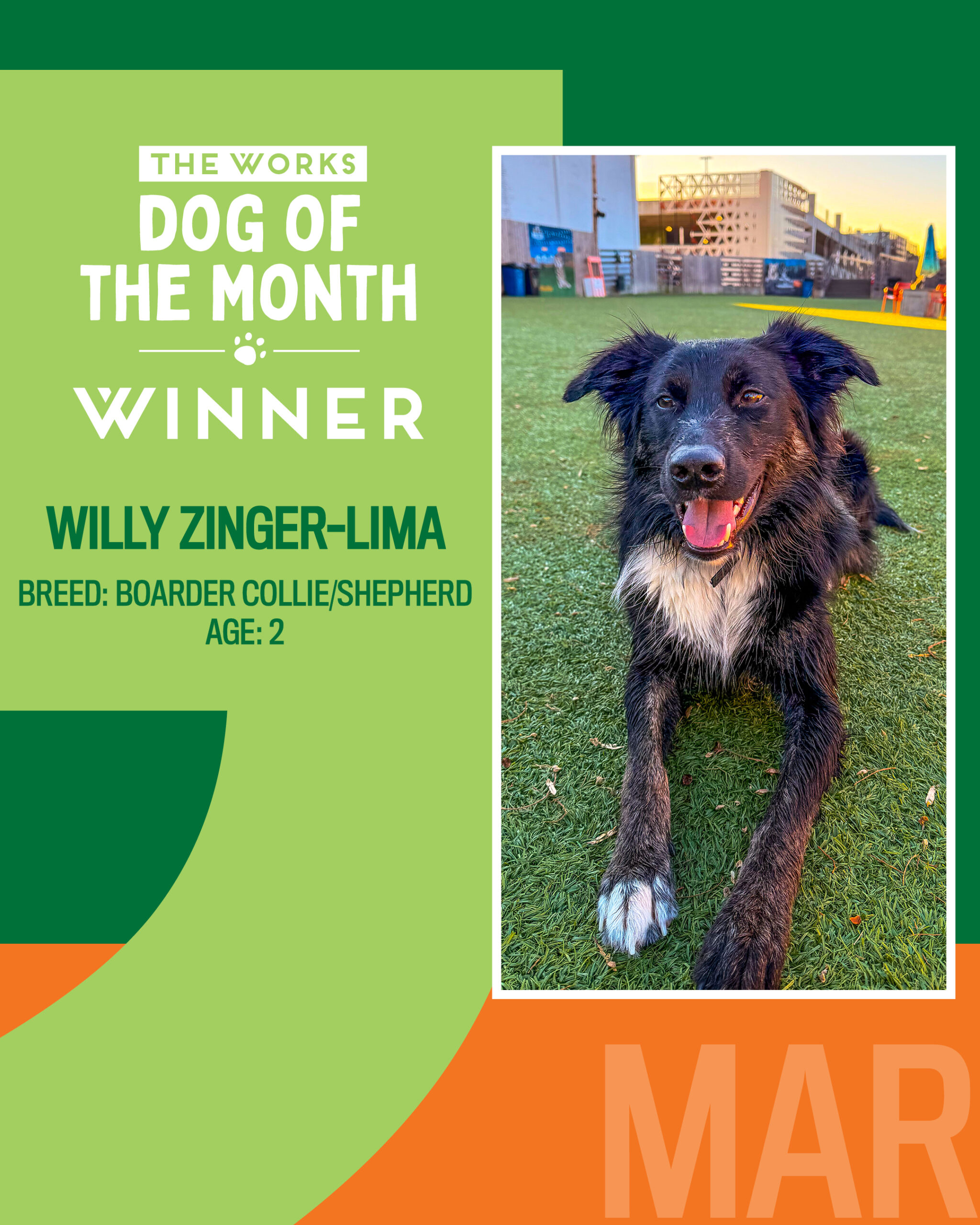 March 2026 Dog of the Month