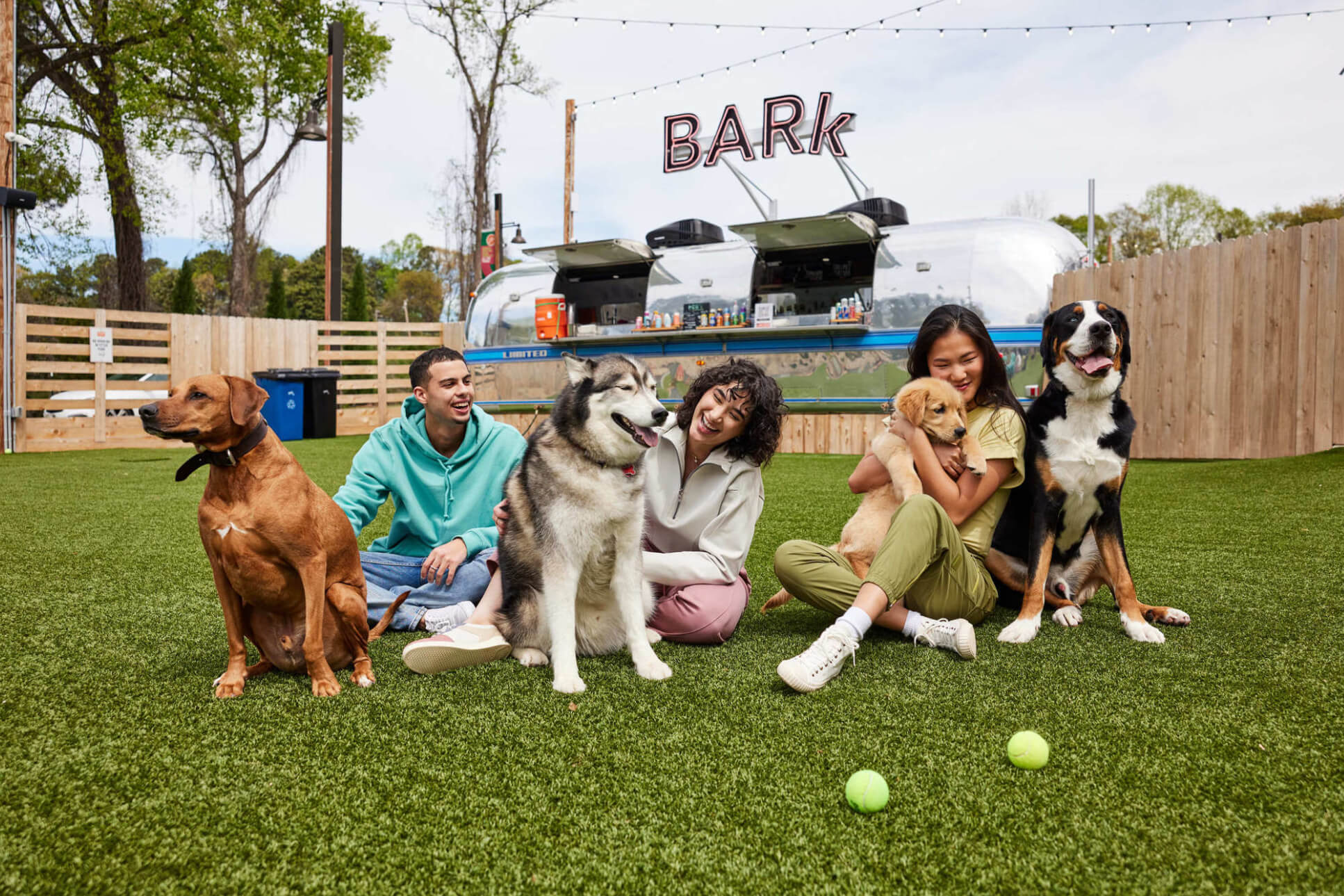 Fetch Header Graphic