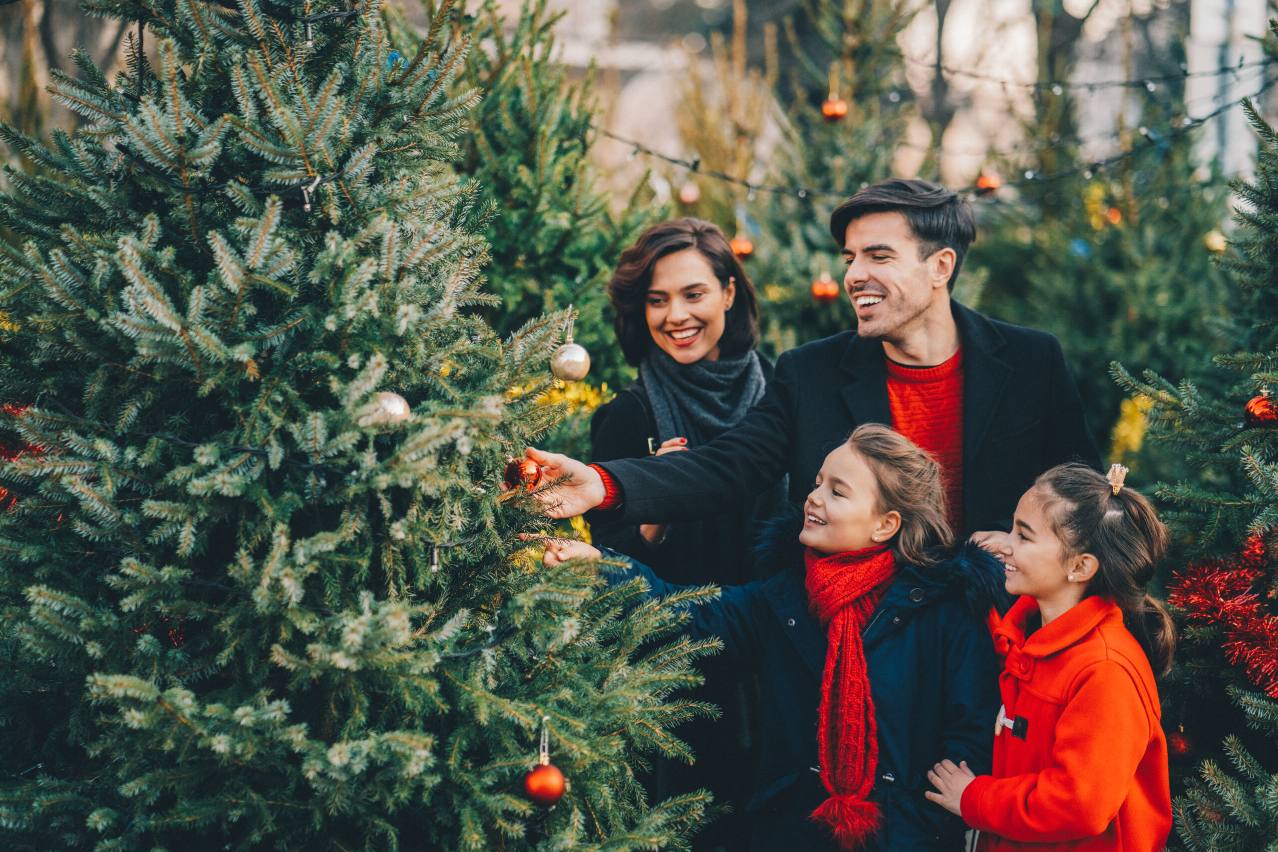 Big John’s Christmas Trees teams up with The Works for indoor tree lot