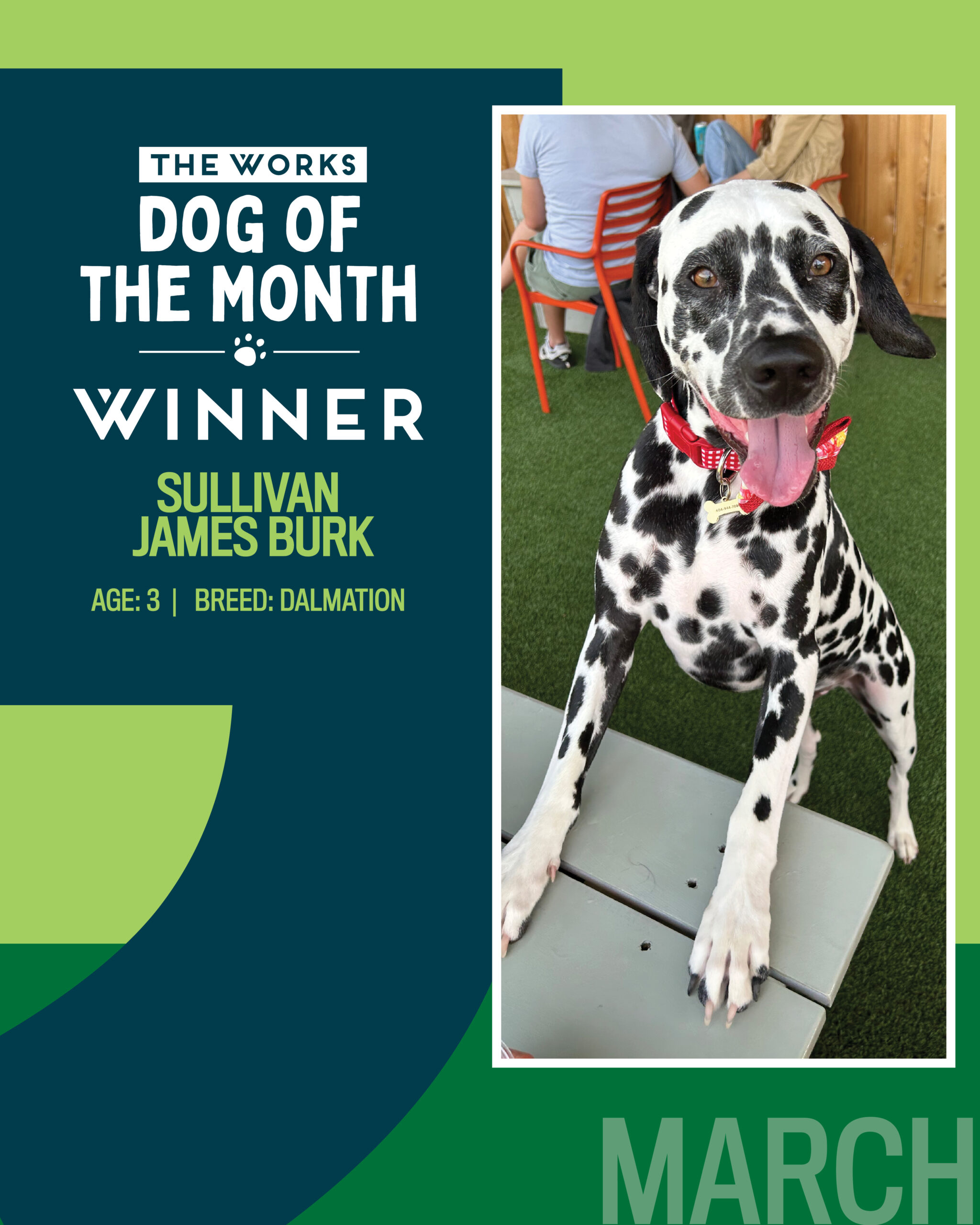 dog of the month winner
