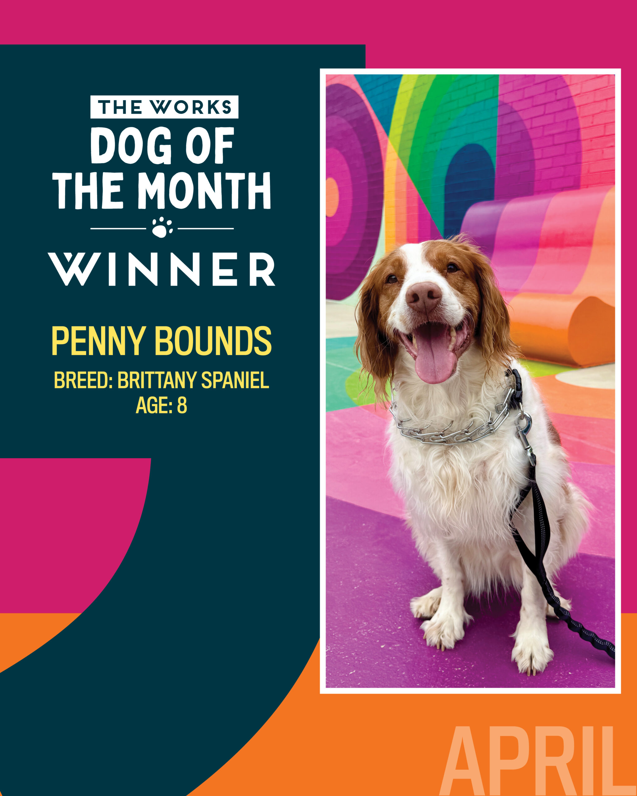 dog of the month winner